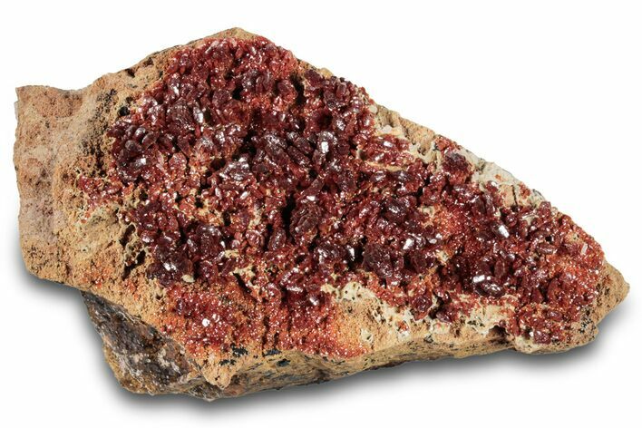 Glittering, Ruby Red Vanadinite Crystals on Barite - Morocco #278230